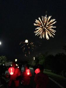 llsfireworks4